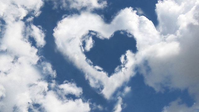 MGM：园林绿化昆山