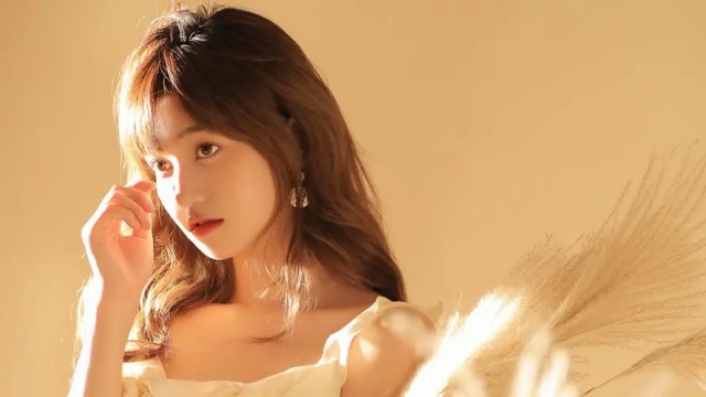 美高梅：园林绿化地被植物放线方法