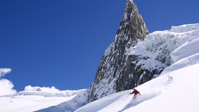 MGM：园林绿化养护需要懂什么