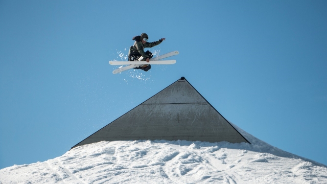 MGM：园林绿化植物苗木定义