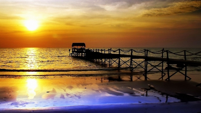 MGM：园林绿化防止病虫害