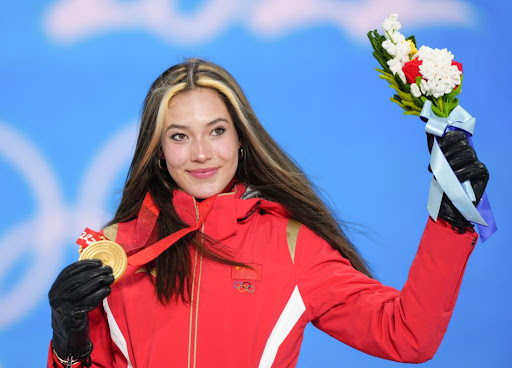 美高梅公司：园林绿化布条