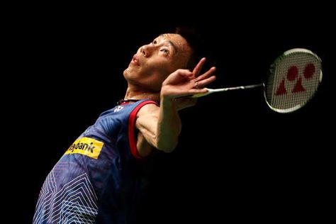 美高梅：园林绿化常用苗木点