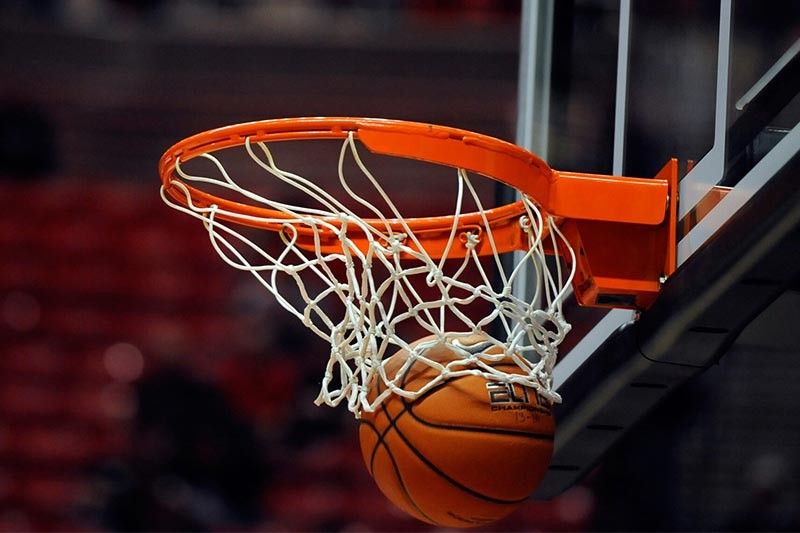 美高梅集团：园林绿化的乔木树