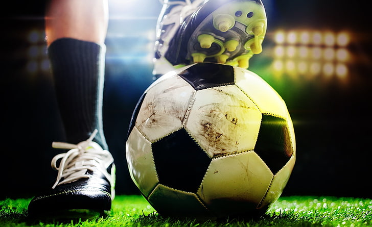 MGM：园林绿化树木认识